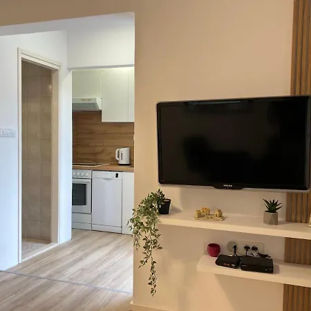 Apartment Ivelic *
