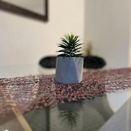 Ivelic Apartment