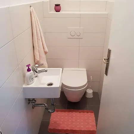 Apartment Ivelic *